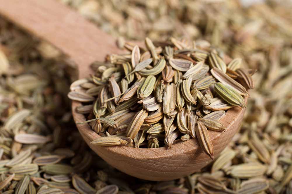 8 Herbs That Are Great For Internal Health - MACROS